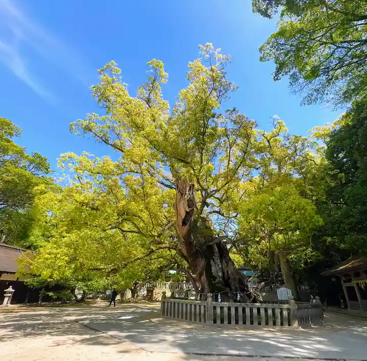 大山祇神社(愛媛県)