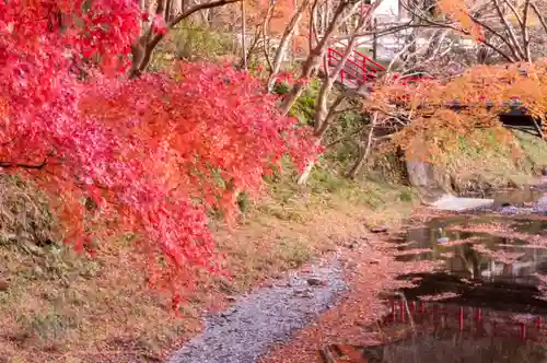 小國神社(静岡県)