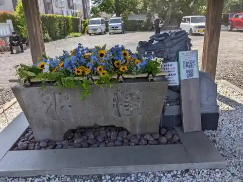 大歳神社の手水