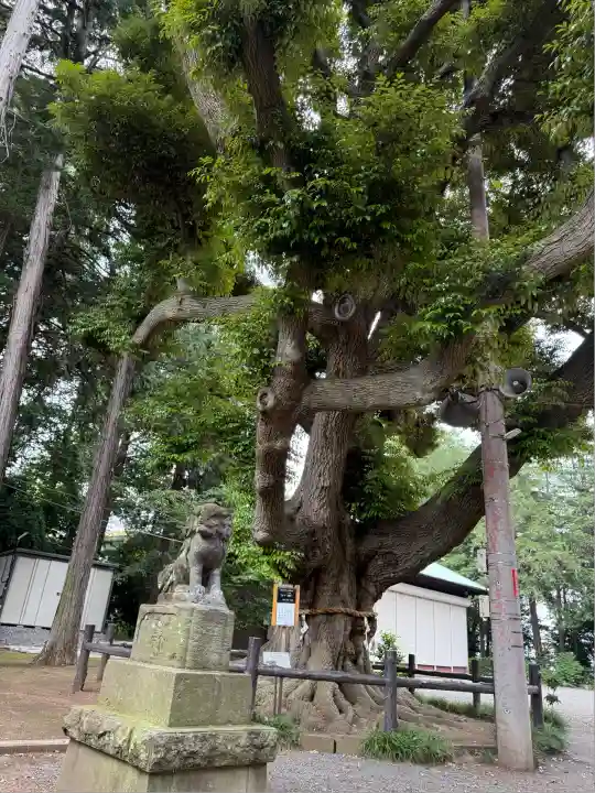 諏訪神社(神奈川県)