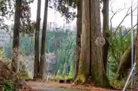 黒川神社(熊本県)