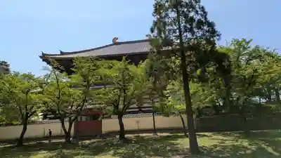 東大寺(奈良県)