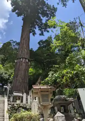 由岐神社のその他建物