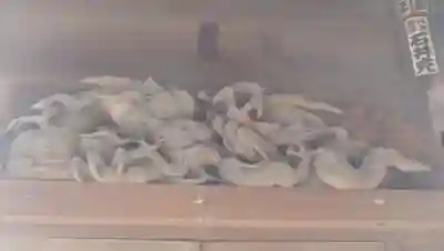 利田神社の芸術