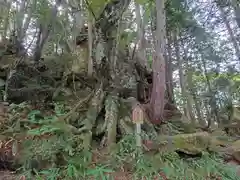 天の岩戸(飛騨一宮水無神社奥宮)の自然