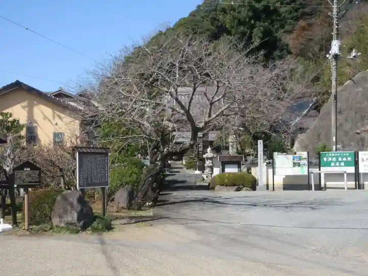 眞珠院(静岡県)