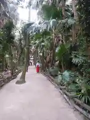 青島神社（青島神宮）の建物その他