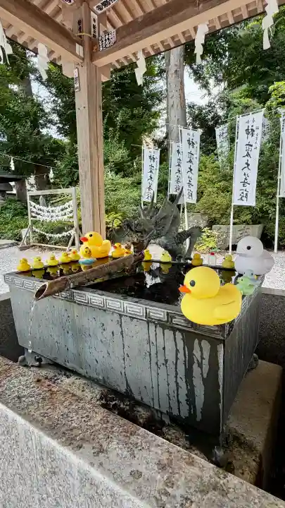 秩父今宮神社(埼玉県)