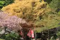 鹿島大神宮の庭園