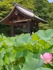 三室戸寺(京都府)