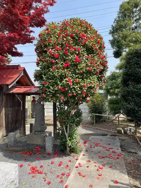 満願寺(栃木県)