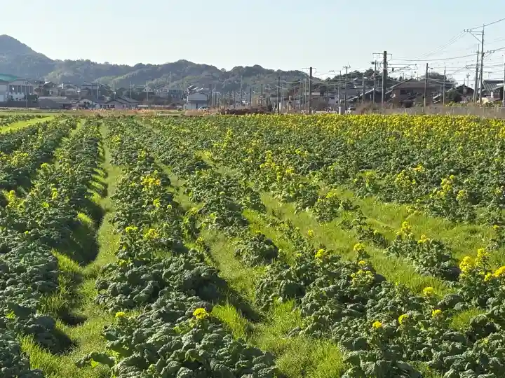 白山神社の{uncategorized: "未分類", other: "その他", undefined: "問題あり", building: "その他建物", grave: "お墓", sacred_gate: "鳥居", guardian: "狛犬", statue: "像", buddha: "仏像", history: "歴史", nature: "自然", garden: "庭園", animal: "動物", pagoda: "塔", temizu: "手水舎", mountain_gate: "山門・神門", sanctuary: "本殿・本堂", subordinate: "末社・摂社", art: "芸術", scenery: "景色", jizo: "地蔵", ema: "絵馬", goshuin: "御朱印", omikuji: "おみくじ", items: "授与品その他", amulet: "お守り", goshuincho: "御朱印帳", eats: "食事", festival: "お祭り", votive_dance: "神楽", shichigosan: "七五三参", wedding: "結婚式", experience: "体験その他", initially: "初詣", around: "周辺", anti_infection: "感染症対策"}