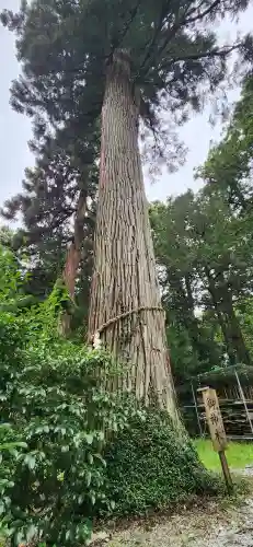 熱日高彦神社の周辺