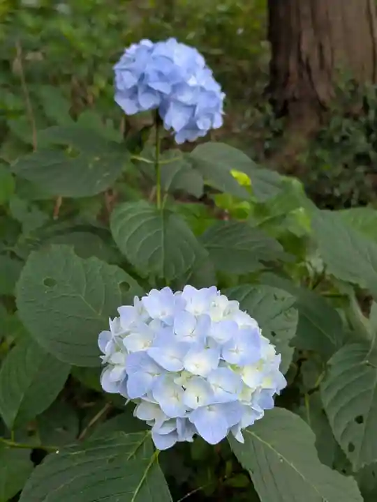 大宝八幡宮(茨城県)
