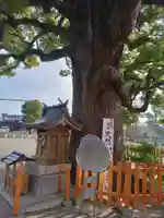 百舌鳥八幡宮(大阪府)