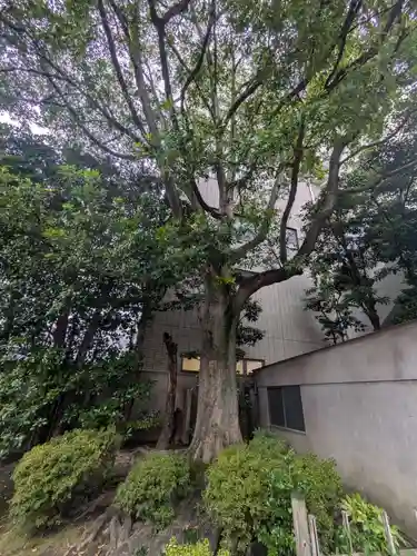 行安寺(東京都)
