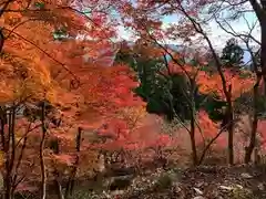 岡太神社(福井県)