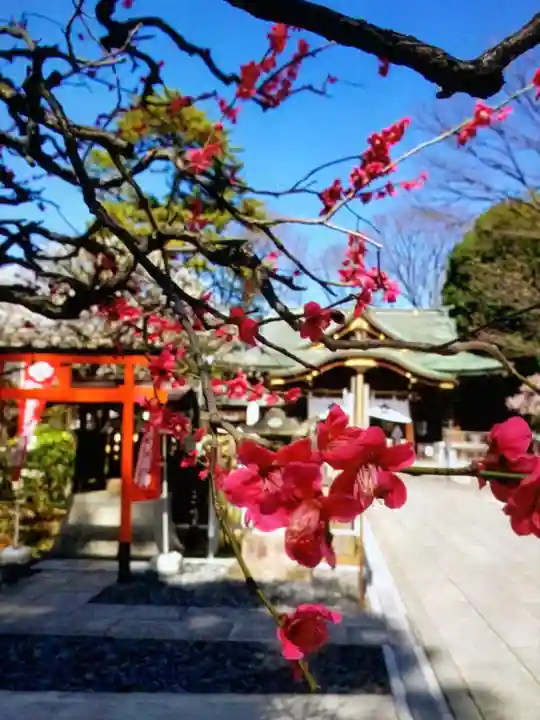 布多天神社(東京都)