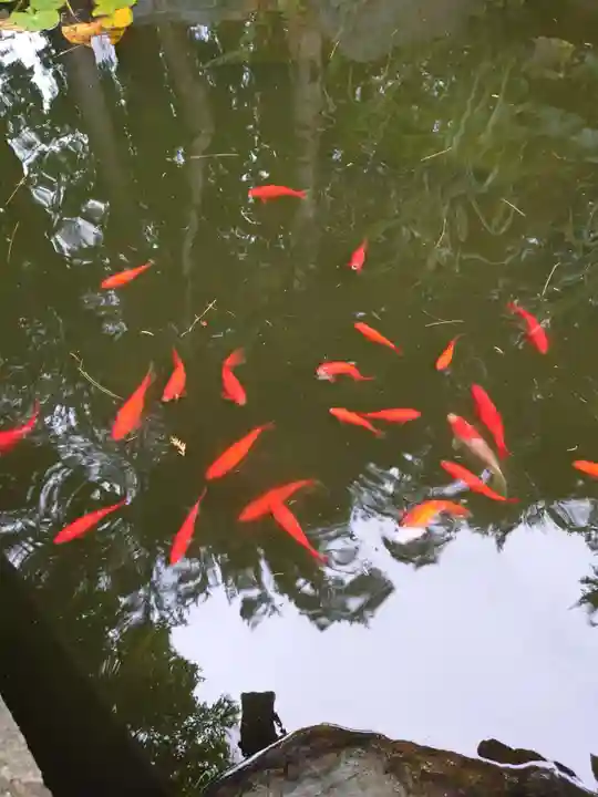市来知神社(北海道)