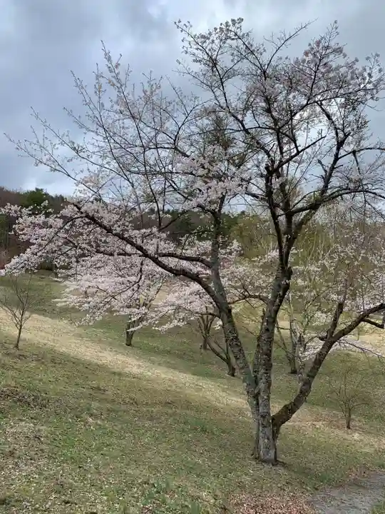 桜松神社の自然