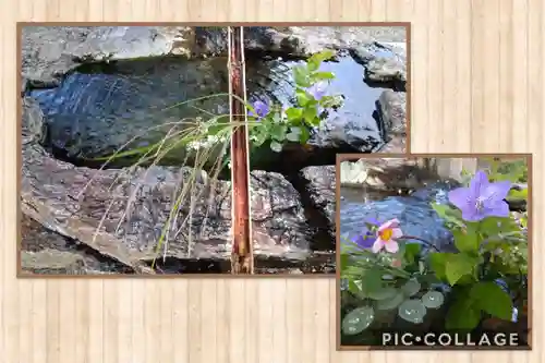 阿智神社の手水舎