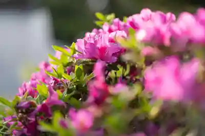 伊勢の国 四天王寺(三重県)