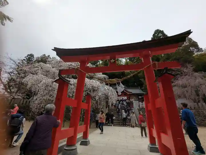 小川諏訪神社の鳥居