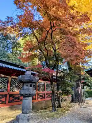 根津神社(東京都)