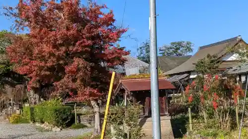 乙訓寺(京都府)