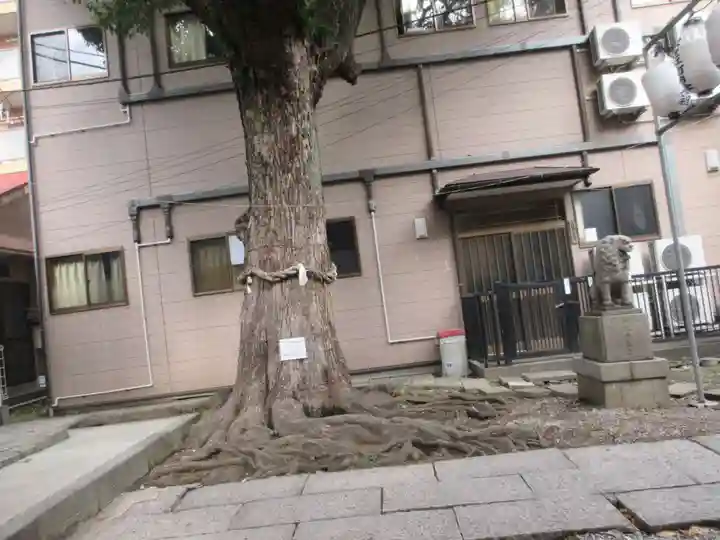 子神社(神奈川県)