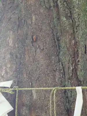 滝野川八幡神社(東京都)