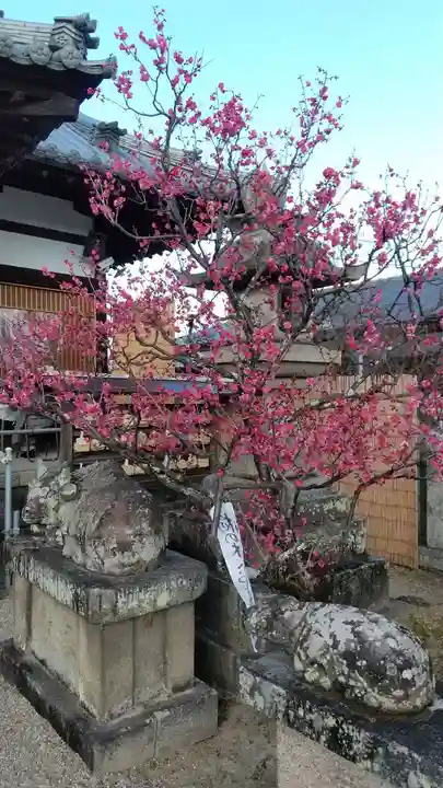 菅原天満宮(菅原神社)の狛犬