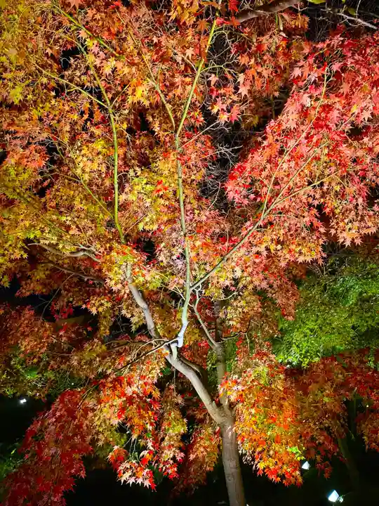 東寺(教王護国寺)(京都府)