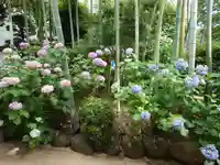 鈴鹿明神社(神奈川県)