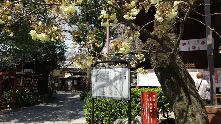 七社神社の自然