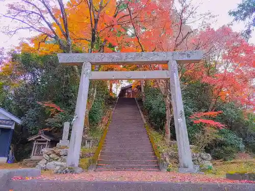 熊野社の鳥居