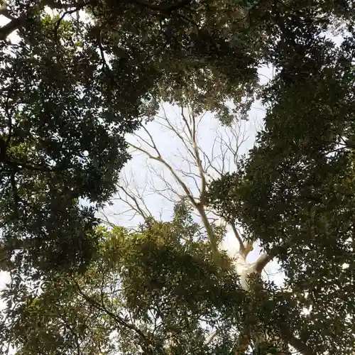 愛宕神社の自然