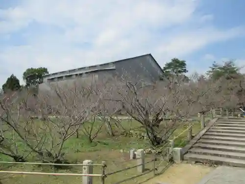 仁和寺の庭園