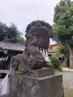 鳩ヶ谷氷川神社の狛犬
