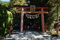 天河大辨財天社の鳥居