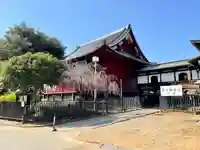 清水観音堂(東京都)