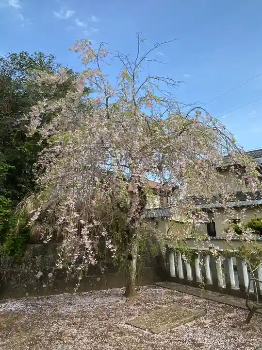 酒列磯前神社の庭園