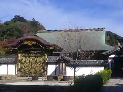 建長寺の本殿・本堂