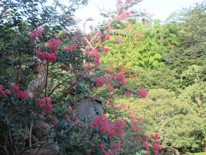 長谷寺(神奈川県)
