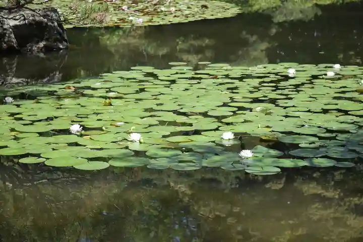 平安神宮の庭園