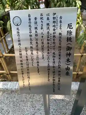 川越八幡宮(埼玉県)