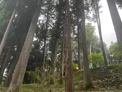 大宮温泉神社(栃木県)