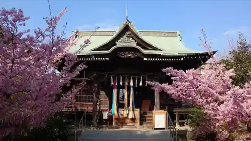 桜神宮の本殿・本堂