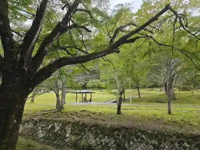 金剛院(京都府)