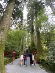 箱根神社の建物その他